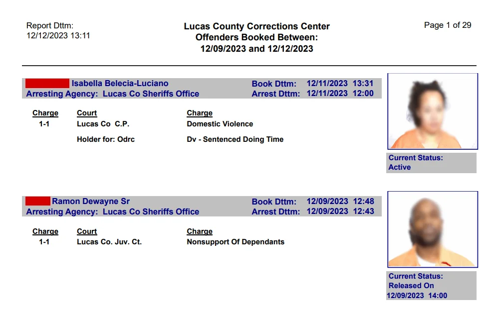 Screenshot of the booking list displaying the individuals' mugshots, names, arresting agencies, charges, courts, booking and arresting dates, and release dates if applicable.