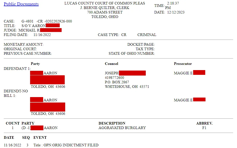 Screenshot of an individual results for docket search displaying the individual's name, judge, prosecutor, counsel, case type, and filing date among others.