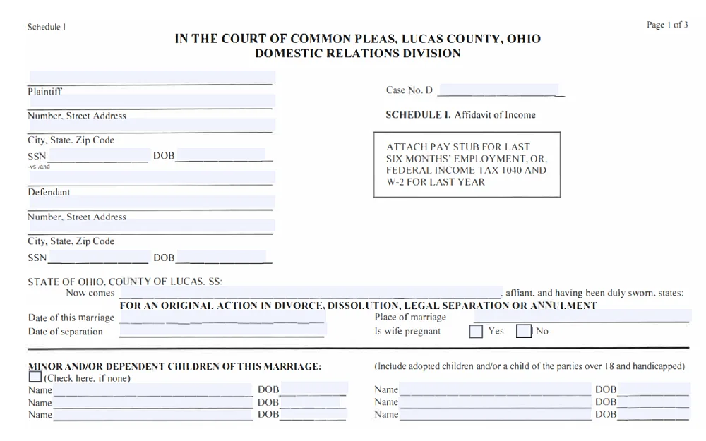 A screenshot showing new domestic relations schedule one form that requires information such as plaintiff, number, street address, city, state, defendant, number, date of birth and others.