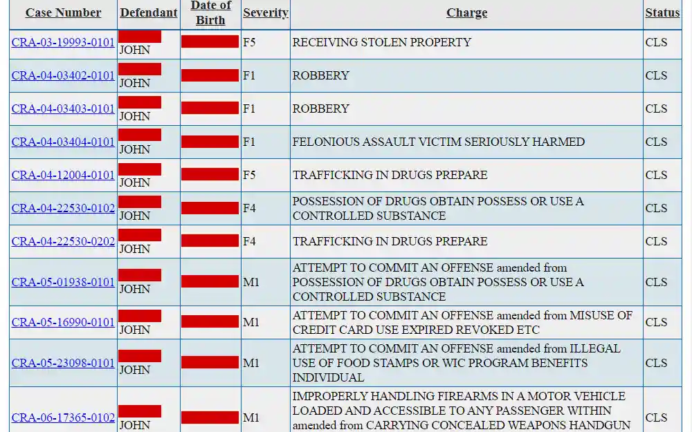 Screenshot of the search results of case information search from Toledo Municipal Court, listing the case numbers, names of defendants, birthdays, charges, and status. 